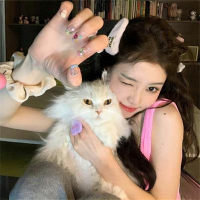 干支魂:猫客万来 在线观看